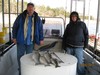 (03/16/2017) - Nice Striped Bass